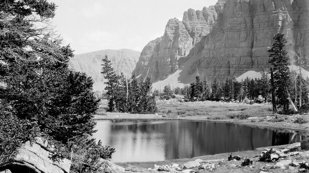 A black and white image of a lake surrounded by trees by a mountain.
